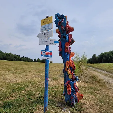 Pod Swierkami & Jacuzzi Дом отдыха Еленя-Гура