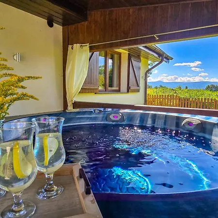 Pod Swierkami & Jacuzzi Еленя-Гура