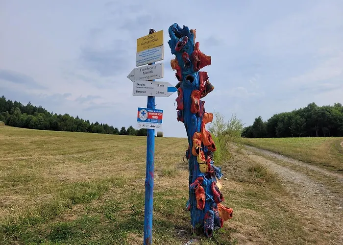 Pod Swierkami & Jacuzzi Дом отдыха Еленя-Гура